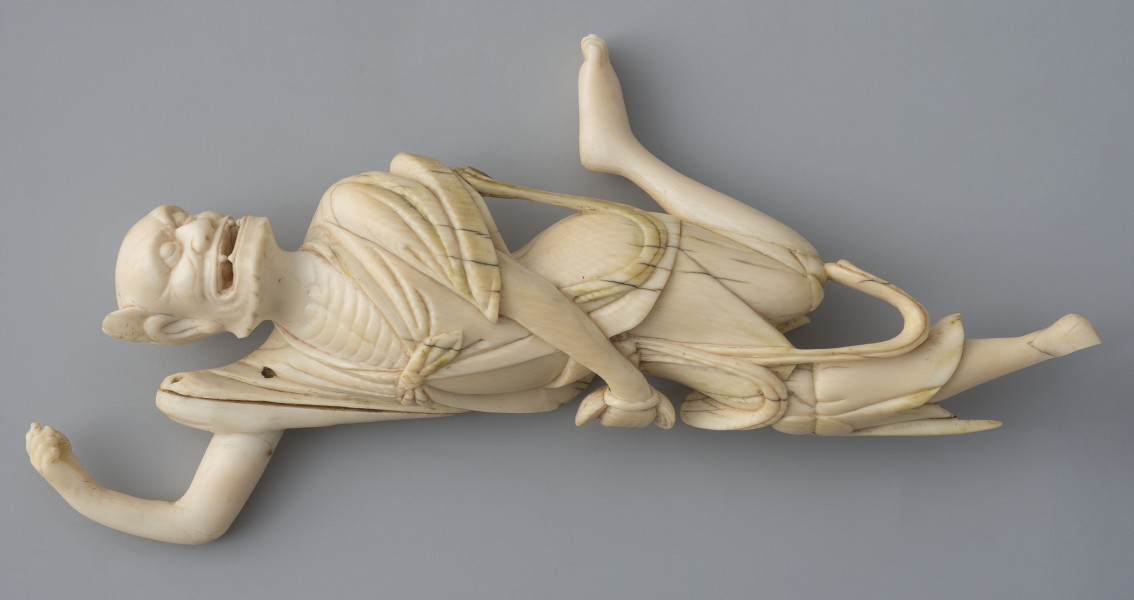 ujęcie całości z przodu