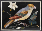 lewa tafelka z czarnego marmuru z intarsją z różnobarwnych marmurów, przedstawiającą papugę na gałęzi