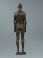 akt męski - Ujęcie z tyłu; Rzeźba z brązu przedstawiająca nagiego, młodego, szczupłego mężczyznę, stojącego twarzą do widza z rękami wzdłuż ciała.