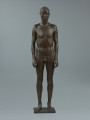 akt męski - Ujęcie z przodu; Rzeźba z brązu przedstawiająca nagiego, młodego, szczupłego mężczyznę, stojącego twarzą do widza z rękami wzdłuż ciała.