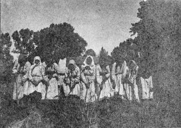Fotografia czarno-biała przedstawia grupę kobiet w strojach ludowych podczas prac polowych. 