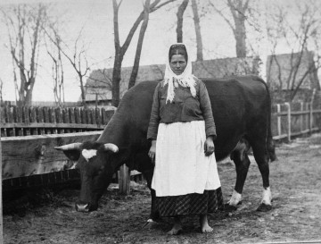 Fotografia czarno-biała przedstawia kobietę i krowę na tle zabudowań wiejskich.
