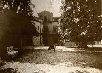 Na zdjęciu znajduje się budowla-pałac, wśród drzew; w centralnej częsci zdjęcia znajduje się pies.