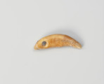 Amulet z zęba zwierzęcego - ujęcie z tyłu; Amulet z zęba małego drapieżnika, z otworem do zawieszania na rzemieniu wywierconym w lewej części.