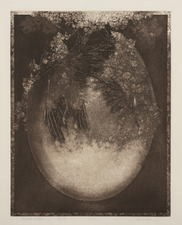 Początek - Ujęcie z przodu; Kompozycja w ciemnych brązach o zróżnicowanym walorze. Na cemnym tle, w centrum pracy znajduje się jasny owalny kształt, przypominający jajo ptasie. W dolnej części jasne, w górnej jakby pęknięte, rozpada się na patyczkowato-włóknistą strukturę przechodzącą w formy przypominające pióra i nóżki ptaka, wokół gęstwina nieregularnych, monochromatycznych plam.