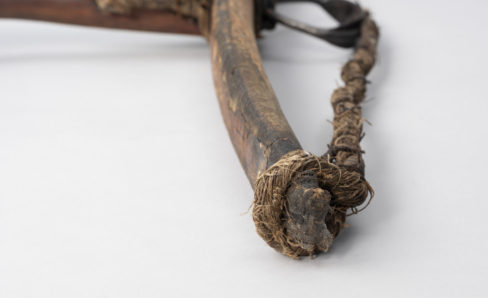 kusza - detal;  Prawy koniec łuczyska jest uszkodzony od wilgoci.  Zachowana cięciwa jest urwana składa się ze splotu wielu cienkich nici.