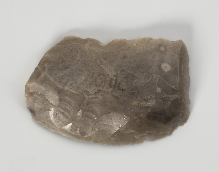 drapacz - Ujęcie z góry; Drapacz wykonany został na fragmencie wióra z krzemienia kredowego bardzo dobrej jakości. Nie zachowała się część proksymalna. Na stronie wierzchniej widoczne są powierzchnie gładzone, co wskazuje, że wiór został odbity z rdzenia uformowanego na gładzonej siekierze neolitycznej.