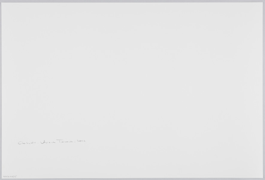 scena rodzajowa - Poziomy, barwny kadr fotograficzny przedstawiający całopostaciowy portret dojrzałej, korpulentnej kobiety ubranej w czarno-białą długą sukienkę o kwiatowym wzorze oraz chustę na głowie. Kobieta stoi u progu pokoju – przez otwarte drzwi widoczne po lewej stronie. We wnętrzu widać po prawej stronie regały z książkami oraz kartonowe pudła stojące na podłodze, po lewej – stół przykryty obrusem i folią oraz 3 tapicerowane krzesła. Na suficie wisi ozdobny żyrandol (widoczny fragment). W głębi widoczna ściana, na której wisi lustro, wentylator elektryczny, obrazi oraz zdjęcia w ramach. W ścianie znajduje się futryna z otwartymi, dwuskrzydłowymi drzwiami prowadzącymi do dalszego pomieszczenia. Na lewym ich skrzydle wisi czarny, długi ubiór (płaszcz?).