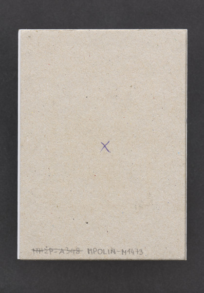 klocek drzeworytniczy - Klocek drzeworytniczy przedstawiający grupę postaci z wozem. Klocek drewniany, z wyrytym tłem tworzącym wypukłą powierzchnie odbicia matrycy przedstawiającą grupę postaci z wozem oraz człowiekiem trzymającym podłużny przedmiot zakończony kształtem ptaka. Matryca przymocowana do prostokątnego kawałka płyty wiórowej z naklejonym od przodu białym laminatem oraz szarą tekturą od tyłu.