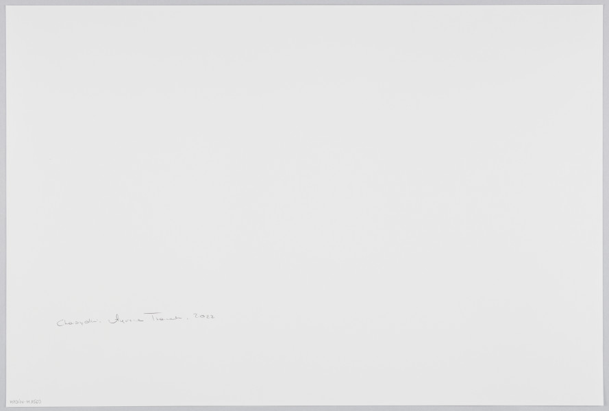 scena rodzajowa - Poziomy, barwny kadr fotograficzny przedstawiający scenę świętowania zaślubin. Większą część kadru wypełnia duża biała tkanina, na której widać dużo fragmentów kolorowych konfetti i serpentyn, które także spadają z góry. Nieostrość wskazuje na ruch tkaniny. Pośrodku tkaniny, w otworze, stoi kobieta w białym sukni stroju. Za tkaniną widoczna jest duża grupa dziewcząt z rozbawieniem przyglądająca się scenie. W tle – biała kotara oraz częściowo widoczne 2 sylwetki osób dokumentujących wydarzenie.