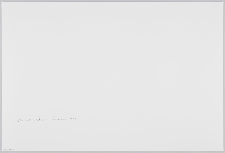 scena rodzajowa - Poziomy, barwny kadr fotograficzny przedstawiający portrety 2 dojrzałych kobiet ubranych w ciemne, ozdobne stroje, czarne chusty zawiązane dookoła głów. Chusta kobiety po lewej stronie ma dekoracyjny, złoty, geometryczny wzór. Kobiety trzymają na kolanach dużą metalową tacę z leżącymi na niej dwoma świecami o szklanych kloszach. Pomiędzy lampionami nasypane jest kolorowe, metalizujące konfetti. Kobiety siedzą na tle białej udrapowanej zasłony i dwóch słupów udekorowanych białymi kwiatami.