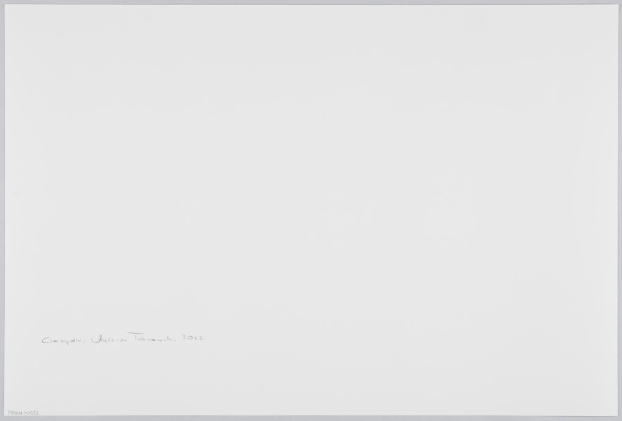 scena rodzajowa - Poziomy, barwny kadr fotograficzny przedstawiający pozowaną scenę ślubną z udziałem dużej grupy kobiet. Na pierwszym planie, po lewej stronie, tyłem do widza stoi kobieta - widoczny jest tylko fragment jej sylwetki. Prawą rękę trzyma wzniesioną gestykulując. W centralnej części kadru widać we fragmencie stół nakryty białym obrusem. Przed nim, po środku siedzi uśmiechnięta panna młoda, obok niej inne kobiety. Za stołem siedzą starsze kobiety. Z tyłu i dookoła stołu stoją pozostałe uczestniczki sceny. Wszystkie są zwrócone w stronę kobiety z pierwszego planu. Część z nich ma aparaty fotograficzne. Pośród zebranych jest także jeden mężczyzna robiący zdjęcie.