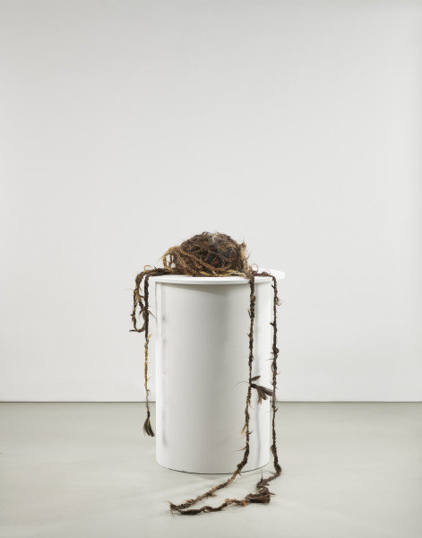 Długa lina zrobiona z warkocza uplecionego z naturalnych ludzkich włosów. Włosy różnią się kolorem i fakturą - różne pukle o podobnej długości zostały splecione ze sobą tak, że przechodzą płynnie, jeden w drugi.