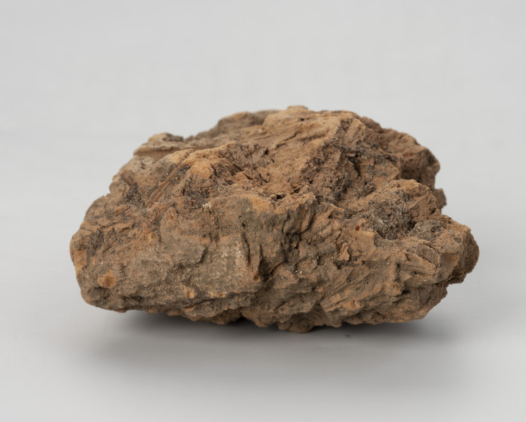 polepa - Ujęcie z tyłu; Polepa z przepalonej gliny koloru pomarańczowobrązowego z odciskami słomy.