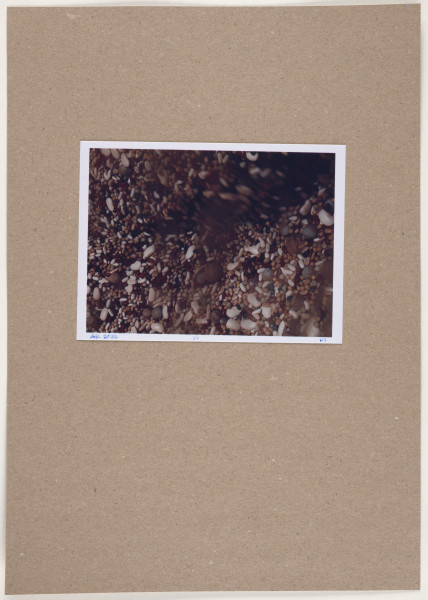 fotografia - Barwna odbitka fotograficzna utrzymana w stonowanych kolorach w chłodnym odcieniu, która przedstawia wycinek większej kompozycji. Widoczny jest duży zbiór okrągłych i obłych elementów - ziaren i orzechów w różnych odcieniach brązu, beżu i szarości. Odbitka fotograficzna została wykonana z wąską, białą ramką.