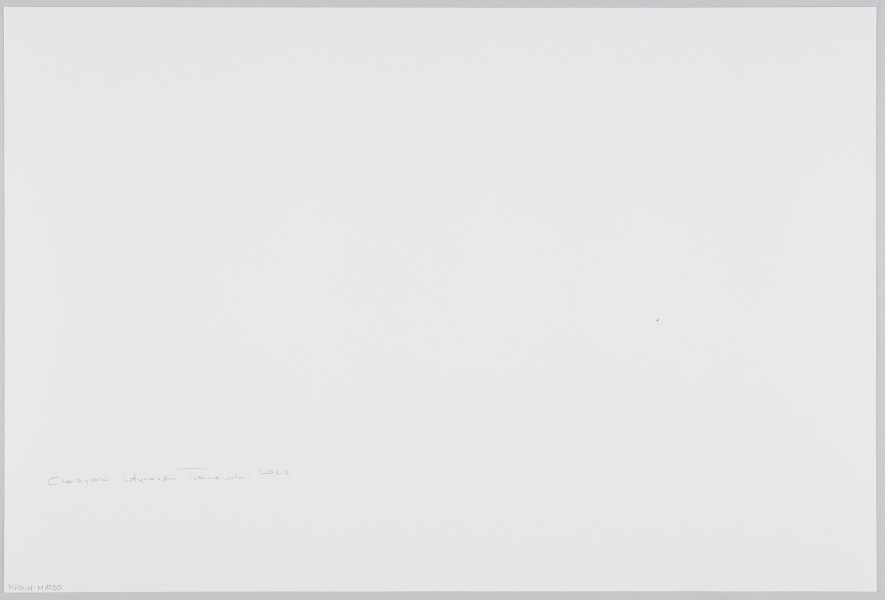 scena rodzajowa - Poziomy, barwny kadr fotograficzny przedstawiający młodą kobietę w stroju europejskim (szarej rozpiętej bluzie z tkaniny przypominającej futerko i bluzce o zwierzęcym wzorze), z rudymi, prostymi włosami do ramion o grzywce opadającej na oczy. Kobieta stoi wyprostowana, z lekko uniesioną ku górze głową – poza wskazuje na głębokie skupienie. Bohaterka fotografii wyróżnia się strojem pozą – jej sylwetka góruje nad dużą grupą kobiet stojących w około tuż przy wysokim murze. Ostrość skierowana jest na kobietę, sylwetki pozostałych oraz otoczenia są rozmyte.