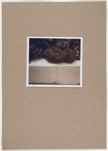 fotografia - Barwna odbitka fotograficzna utrzymana w stonowanych kolorach, która przedstawia fragment większej, horyzontalnej kompozycji niemal równo podzielonej na dwie części. Górną połowę stanowią nieregularne, obłe przeplatające się kształty w różnych odcieniach brązu. Elementy te leżą na podłożu, które wyznacza poziomą oś zdjęcia. Podłoże jest przykryte białą tkaniną, której zwisający brzeg jest widoczny u dołu fotografii, ale nie dochodzi do jej dolnej krawędzi - pozostaje niewielki prześwit sugerujący, że uwidoczniona na zdjęciu kompozycja jest przestrzenna. Tkanina ozdobiona jest u dołu pasem białego haftu z hebrajskimi napisem. Odbitka fotograficzna została wykonana z wąską, białą ramką.