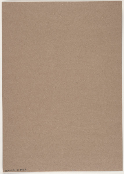 fotografia - Barwna odbitka fotograficzna utrzymana w stonowanych kolorach, która przedstawia wycinek większej kompozycji. Widoczny jest duży zbiór okrągłych i obłych elementów przypominających kamyki w różnych odcieniach brązu, beżu i szarości.  Zdjęcie jest pionowe, jednak ułożenie elementów sugeruje kompozycję poziomą. Odbitka fotograficzna została wykonana z wąską, białą ramką.