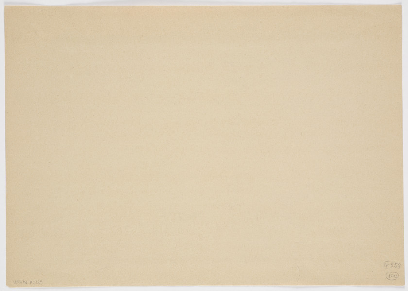 rysunek - Martwa natura, kompozycja z owocem winorośli i roślinami. Centralny element kompozycji to duża kiść winogron, nad nią 2 skrzyżowane liście winorośli. Kiść „wpada” w duży, ozdobny kwiat o rozwiniętych, trójkątnie zakończonych płatkach, o grubej łodydze wyrastającej z ociosanego pnia drzewa z korzeniami. Z lewej strony dekoracyjnie wijąca się wstęga.