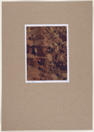 fotografia - Barwna odbitka fotograficzna utrzymana w stonowanych kolorach, która przedstawia wycinek większej kompozycji. Widoczny jest duży zbiór okrągłych i obłych elementów przypominających kamyki w różnych odcieniach brązu, beżu i szarości.  Zdjęcie jest pionowe, jednak ułożenie elementów sugeruje kompozycję poziomą. Odbitka fotograficzna została wykonana z wąską, białą ramką.