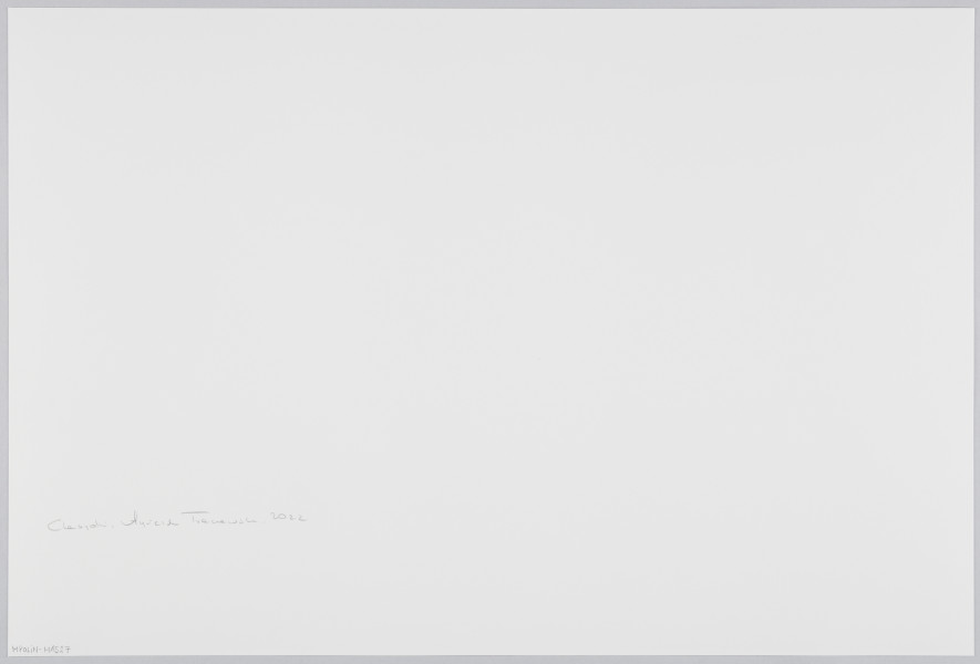 scena rodzajowa - Poziomy, barwny kadr fotograficzny przedstawiający dużą grupę, w której skład wchodzą kobiet, i dziewczęta. Trzy spośród nich, na pierwszym planie, pchają wózki z małymi dziećmi. Grupa zajmuje całą szerokość chodnika i ulicy pomiędzy niewysokimi miejskimi budynkami - idą w kierunku widza.