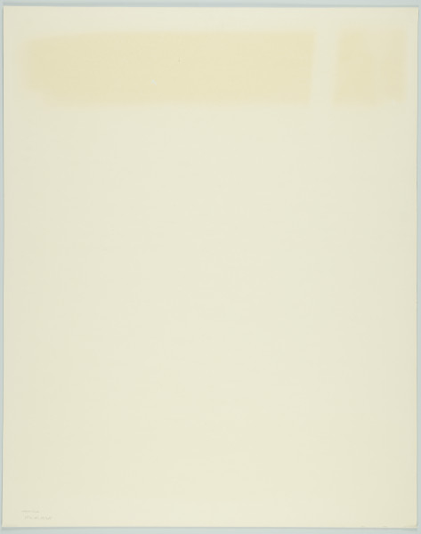 portret fotograficzny - Fotografia barwna skadrowana pionowo, przedstawiająca półpostaciowy portret młodej kobiety. Portretowana dziewczyna o ciemnych, długich, falujących włosach, puszczonych luźno na ramiona, ubrana w ciemną prostą bluzkę z długimi rękawami podciągniętymi pod łokcie, patrzy prosto w stronę widza. Kobieta stoi we wnętrzu na tle ściany pokrytej tapetą o bardzo ozdobnym, symetrycznym, floralno-geometrycznym wzorze.