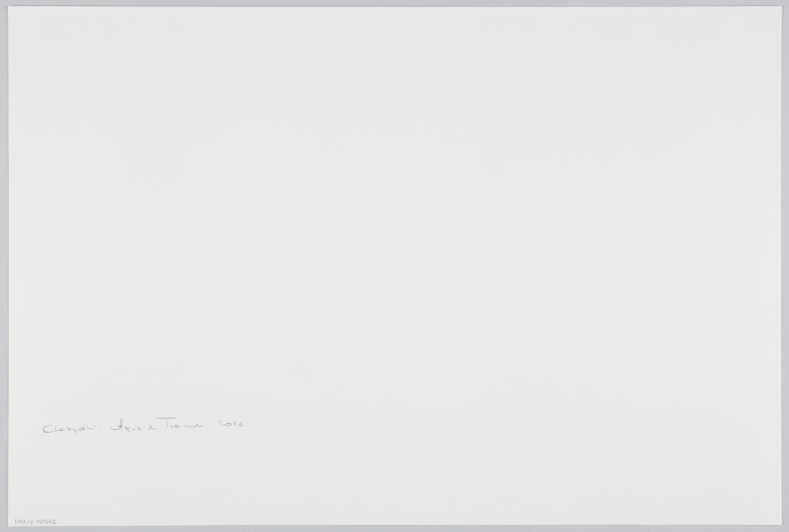 scena rodzajowa - Na pierwszym planie poziomego, barwnego kadru fotograficznego widać dużą grupę, stojących, rozmawiających ze sobą kobiet. Cześć z nich patrzy za białe zasłony, przedzielające pomieszczenie, w którym są na dwie części. Kobiety są ubrane w czarne, stroje, częściowo z elementami dekoracyjnymi lub wzorami w innych kolorach. Niektóre z nich na głowach noszą czepki. Za zasłonami, które wiszą od sufitu w kilku częściach, między którymi są prześwity, widać w bardzo ograniczonym stopniu dalszą część pomieszczenia wypełnioną tłumem mężczyzn w czarnych strojach, kapeluszach lub okrągłych nakryciach głowy (jarmułkach).