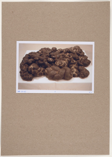 fotografia - Barwna odbitka fotograficzna utrzymana w stonowanych kolorach, która przedstawia górny fragment większej przestrzennej kompozycji. Widoczne są nieregularne, obłe, przeplatające się i częściowo spiętrzone kształty w różnych odcieniach brązu. Elementy te leżą na podłożu przykrytym białą tkaniną. Odbitka fotograficzna została wykonana z wąską, białą ramką.