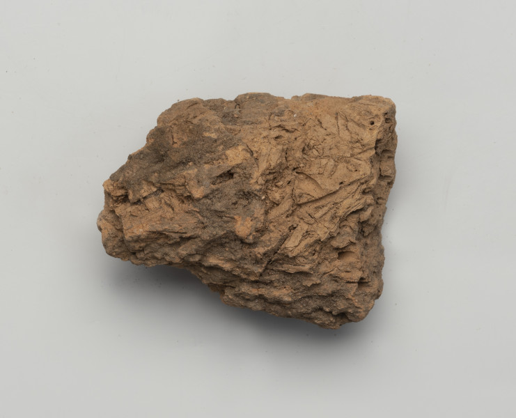 polepa - Ujęcie z góry; Polepa z przepalonej gliny koloru pomarańczowobrązowego z odciskami słomy.