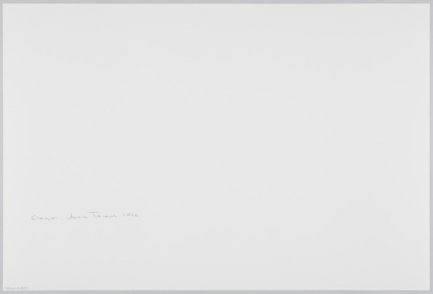 scena rodzajowa - Poziomy, barwny kadr fotograficzny, który w centralnej części przedstawia pannę młodą ubraną w strojną białą suknię ślubną, z białym czepcem na głowie i o twarzy zasłoniętej białym welonem oraz stojącego naprzeciwko niej starszego mężczyzny z siwą brodą w ozdobnym, stroju (dużą futrzaną, cylindryczną czapę, długi haftowany w złoty wzór płaszcz). Mężczyzna trzyma w rękach ozdobną, haftowaną szarfę. Oboje stoją po środku bardzo dużego pomieszczenia, w korytarzu utworzonym przed oddzielenie boków wnętrza przez metalowe barierki. Za barierkami, po obu stronach, utworzone są kaskadowo miejsca dla widzów (rodzaj stojących trybun). Tam stoi bardzo duża liczba mężczyzn z brodami i chłopców ubranych podobnie (duże futrzane, cylindryczne czapy – strajmły lub kapelusze, długie ciemne płaszcze – chałaty). Mężczyźni obserwują scenę rozgrywającą się poniżej, część z nich wygląda tak, jakby śpiewało. Po prawej stronie kadru, w rogu, za panną młodą stoi kwadratowy stół nakryty białym obrusem, na nim leży tkanina. Oddzielona tym stołem siedzi grupa kobiet w ciemnych strojach i z ozdobnymi czepkami na głowach. Widać także małą dziewczynkę.