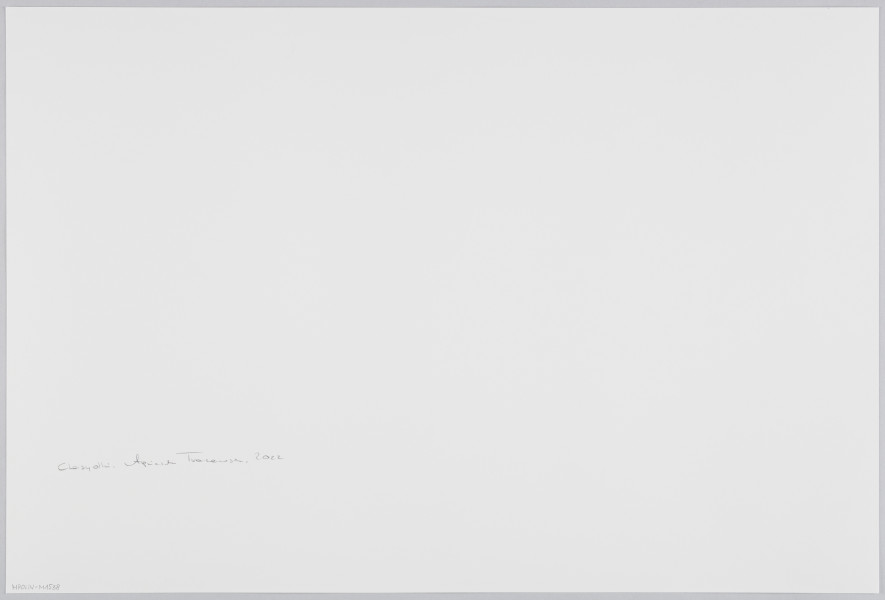 scena rodzajowa - Poziomy, barwny kadr fotograficzny przedstawiający scenę ślubną. W środku kadru na jasnym szezlongu siedzi panna młoda w białej, sukni ślubnej o szerokiej spódnicy. Kobieta ma twarz zasłoniętą szczelnie nieprzejrzystą białą chustą/welonem. Po jej prawej stronie siedzi kobieta eleganckiej granatowej sukience, ze sznurem pereł na szyi i kwiecistej chuście na głowie. Wspiera głowę na lewej ręce, dłonią zasłania twarz w geście zmartwienia/rozpaczy. Za nią stoi grupka kobiet w odświętnych sukienkach, z chustami na głowach oraz małych chłopców w podobnych garniturach, z charakterystycznymi fryzurami (krótkie włosy oraz długie skręcone pasma włosów zakrywające uszy – pejsy) oraz płaskich, okrągłych nakryciach głowy (jarmułki). Cała ta grupa znajduje się na podeście, na tle ozdobnej, jasnej zasłony oraz dużych bukietów kolorowych kwiatów. Poniżej podestu znajduje się grupa dzieci – chłopiec i kilka dziewczynek w odświętnych strojach (dziewczynki w takich samych sukienkach). Za nimi, w prawym, górnym rogu kadru widać kilka kobiet w chustach na głowach oraz aparat fotograficzny z dużym obiektywem zasłaniający trzymającego go fotografa. Suknia panny młodej, podest i podłoga zasypane są kolorowy konfetti.