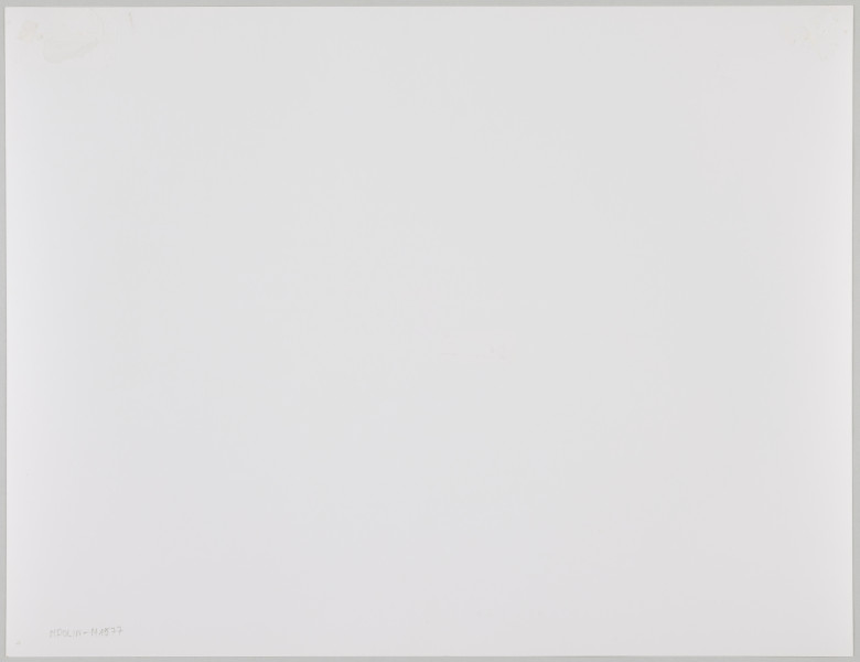 fotografia - Zdjęcie przedstawia trzech mężczyzn niosących trumnę na metalowych noszach. Jeden z mężczyzn znajduje się z przodu trumny (po prawej stronie kadru), dwaj z tyłu (po lewej stronie kadru). Nosze są przykryte ciemną tkaniną sięgającą niemal ziemi. Trumna jest wykonana z drewna. Spod wieka wystają krawędzie białej tkaniny wykończonej koronką. Samo wieko także zostało ozdobione taśmami białej koronki przytwierdzonymi wzdłuż krawędzi. Mężczyzna idący z przodu trumny ma na sobie krótki kożuch oraz futrzaną czapkę. Jeden z mężczyzn idących z tyłu trumny trzyma uchwyty noszy. Drugi kładzie ręce na wieku. Mężczyzna trzymający nosze ma na sobie ciemną (brązową) kurtkę, okulary i jarmułkę na głowie. Mężczyzna dotykający wieka ma na sobie krótką sportową kurtkę z czerwonym lampasem biegnącym wzdłuż rękawa oraz futrzaną czapkę. W tle widać stare macewy oraz drzewa bez liści (zdjęcie wykonane jesienią lub w zimie). 